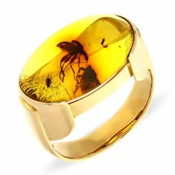 Bernstein-Ring Gelbgold