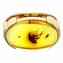 Bernstein-Ring Gelbgold