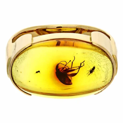 Bernstein-Ring Gelbgold