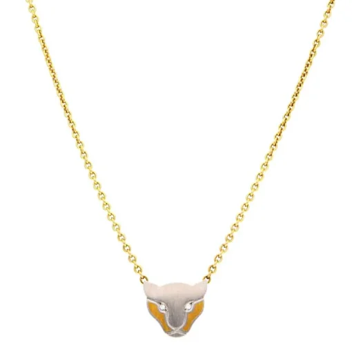 Brillant-Collier Bicolor