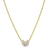 Brillant-Collier Bicolor