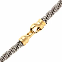 Brillant-Collier Bicolor