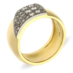 Brillant-Ring Bicolor