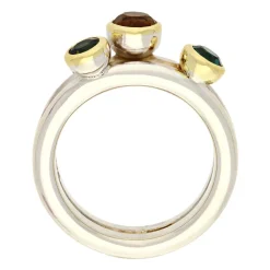Farbstein-Ring Bicolor