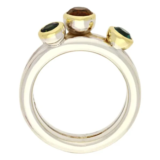 Farbstein-Ring Bicolor