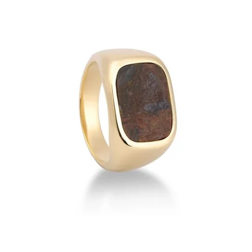 Pietersit-Siegelring Gelbgold