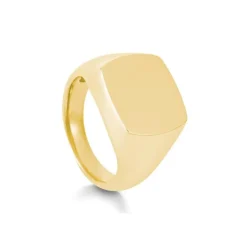 Siegelring Gelbgold
