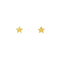 Stern-Ohrschmuck Gelbgold
