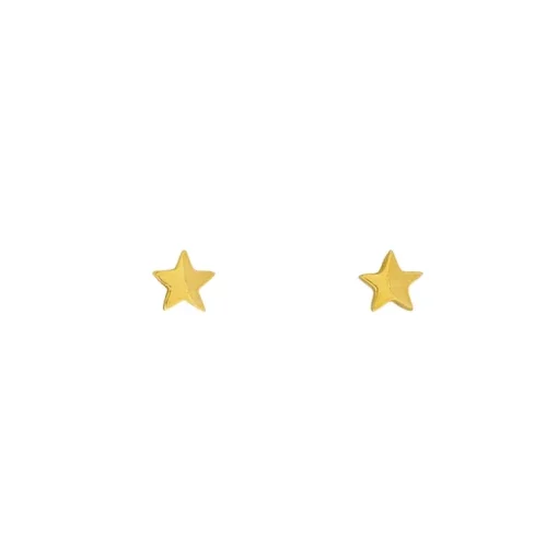 Stern-Ohrschmuck Gelbgold