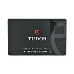 Tudor Black Bay P01 Referenz 70150