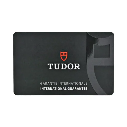 Tudor Black Bay P01 Referenz 70150