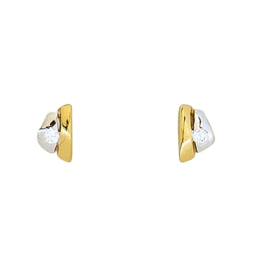 Zirkonia-Ohrschmuck Bicolor