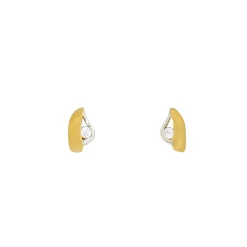 Zirkonia-Ohrschmuck Bicolor